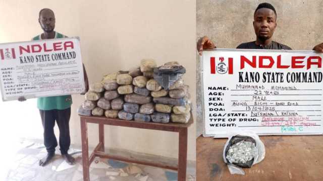 NDLEA Ta Kama Masu Sayar Da Kwaya Ga Ƴan Bindiga A Kano