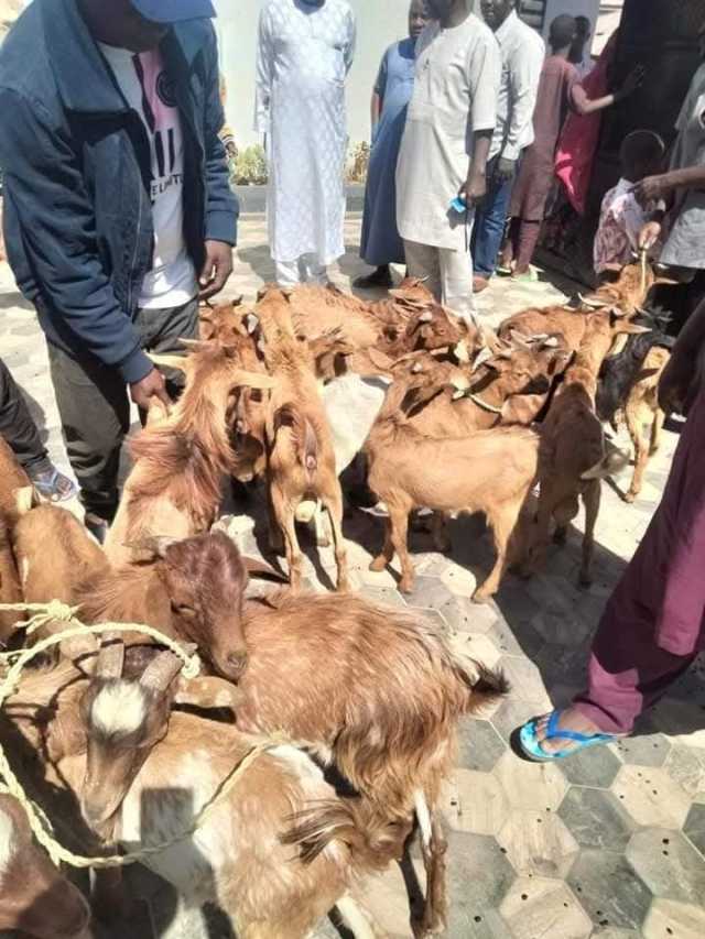 Dalilin Ƴansanda Na Kano Na Tsare Awaki