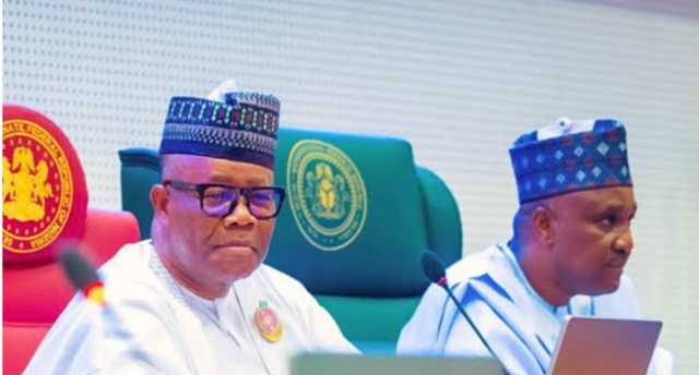 Ƙungiyar ’yan Majalisar Dokokin Ƙasa Ta APC Ta Amince Da Takarar Tinubu A Zaɓen 2027 