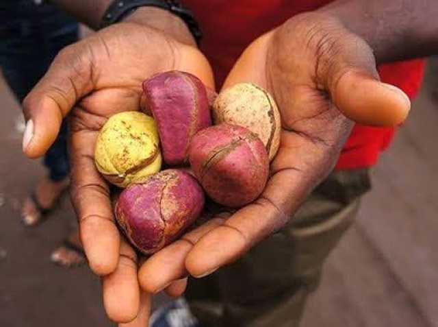 GORON JUMA’A 09/05/2025