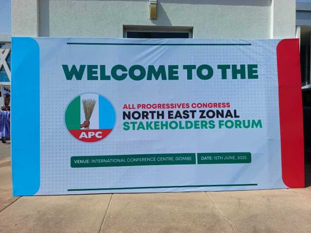 Cece-Kuce Ya Barke Bayan Ganduje Da Shugaban APC Na Arewa Maso Gabas Sun Nemi A Sauya Shettima A 2027