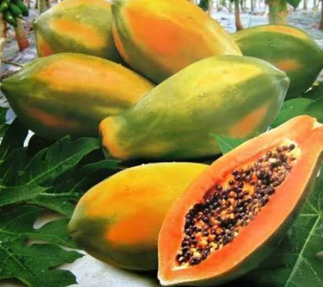 Amfanin ‘Ya’yan Gwanda Da Yadda Ake Sarrafa Su