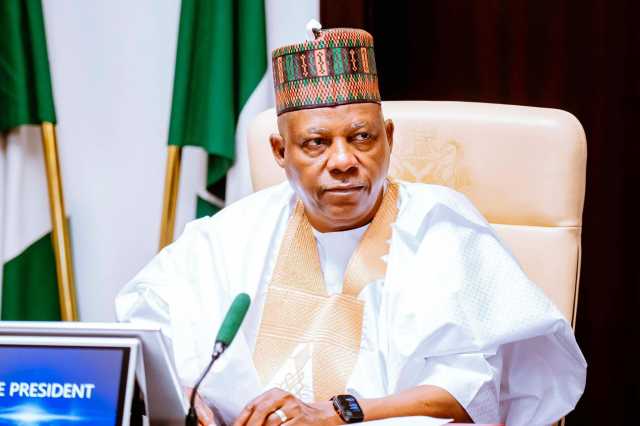 Fadar Shugaban Ƙasa Ta Ƙaryata Alaƙanta Shettima Da Kwatanta Jonathan Da Tinubu Kan Batun Tsige Gwamna