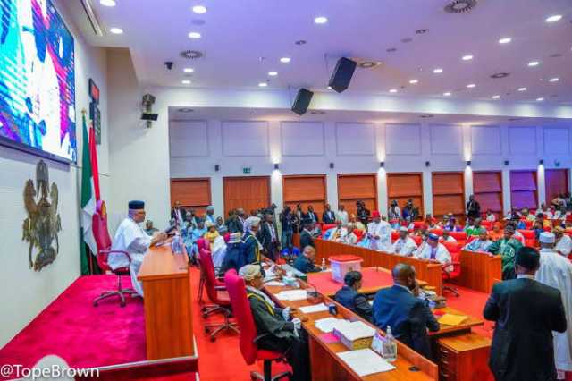 Majalisar Dattawa Ta Yi Allah-wadai Da Zanga-zangar Ƙin Jinin ’Yan Nijeriya A Ghana