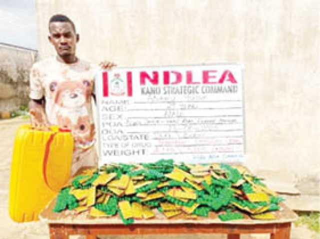NDLEA Ta Kama Wani Matashi Dan Shekara 29 Da Kwayoyin Tramadol 7,000 A Kano