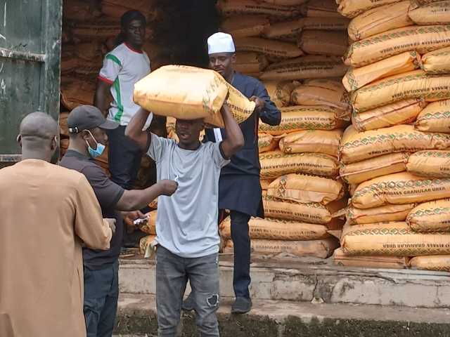 Gidauniya Ta Rabar Da Buhun Takin Zamani 6,000 Ga Manoma A Bauchi 