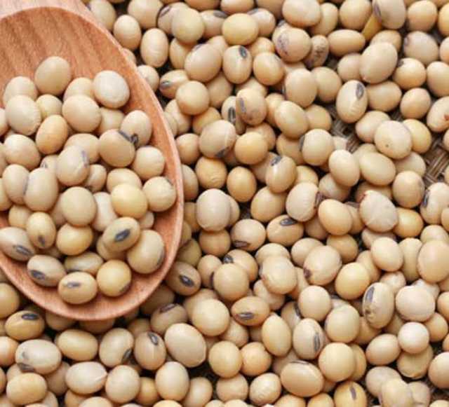 Abubuwan Da Suka Ja Hankalin Gwamnatin Tarayya Ta Ƙaddamar Da Tsarin Noman Waken Soya