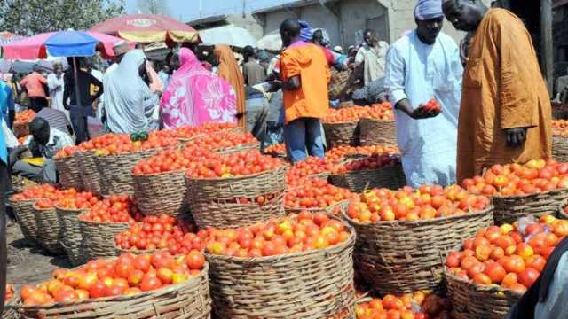 Musabbabin Faduwar Farashin Tumatir Warwas A Legas Da Sauran Wasu Jihohi