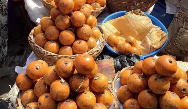 Sharhi Kan Noman Agwaluma A Nijeriya