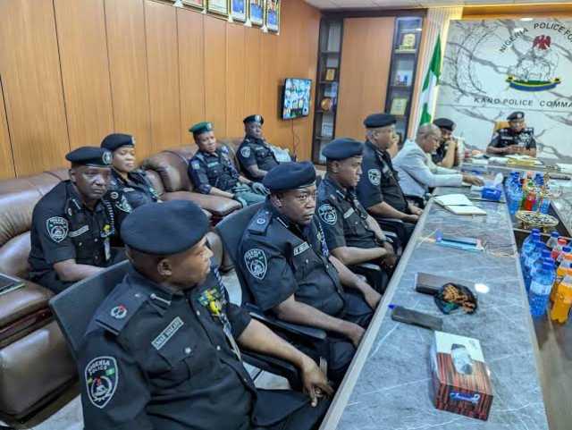 Ƴansanda Sun Kama Gungun Masu Sojan Gona Suna Aikata Laifuka A Kano