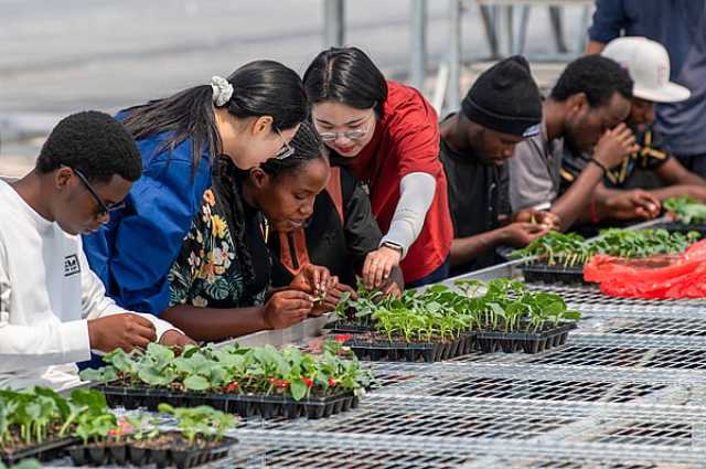 Masanan Kasar Sin Da Afirka Sun Hada Karfi Da Karfe Don Habaka Samun Wadatar Abinci Da Zamanantar Da Aikin Gona