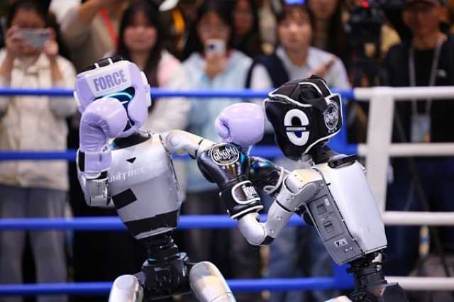 An Rufe Taron Kolin Wuzhen Na Ayyukan Yanar Gizo Na Duniya Na Shekarar 2025