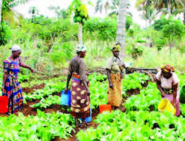 Dalilin Ware Naira Biliyan 19.5 Da Asusun Bunkasa Aikin Noma Ya Yi