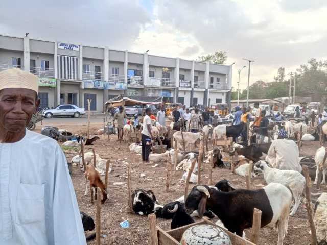 Ana samun Karancin Masu Sayen Dabbobi A Kano Duk Karatowar Sallar Layya