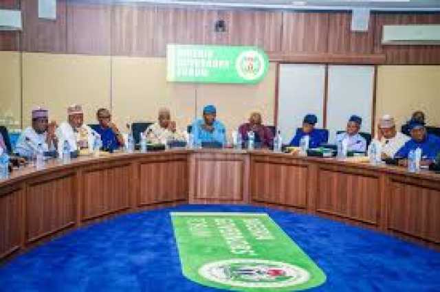 Kungiyar Gwamnonin Jihohi Ta Jajintawa Jihar Adamawa Bisa Ambaliyar Ruwa A Yola