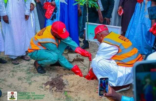 Gwamnan Kano Ya Kaddamar da Shirin Dashen Bishiyoyi