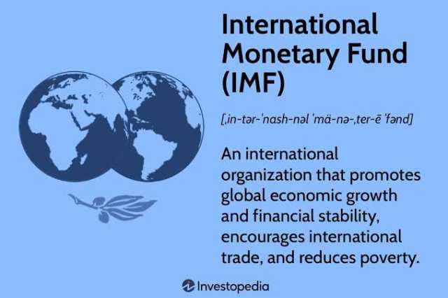 Damuwar IMF akan kalubalen tattalin arzikin Najeriya yaudara ne – Farfesa Yushau Ango