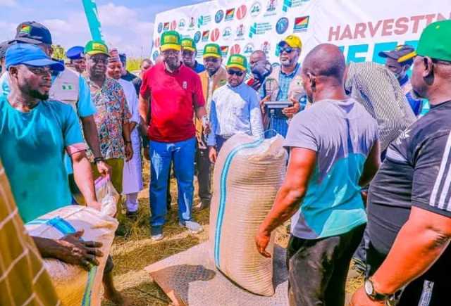 Gwamnatin Jihar Nasarawa Ta Shirya Faɗaɗa Gonakin Shinkafar Jangwa Don Ƙara Samar da Shinkafa