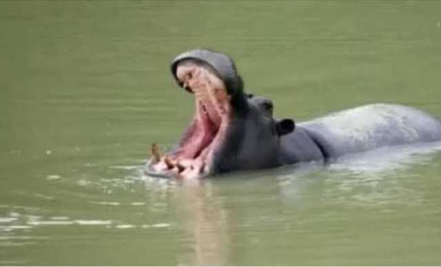 Dorinar Ruwa ta Yi Ajalin Mutane Biyu, ta Raunata Shida a Gombe