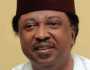 Haɗin Kan Musulmai Da Kirista A Nijeriya Zai Kawo Saukin Matsalar Tsaro — Shehu Sani